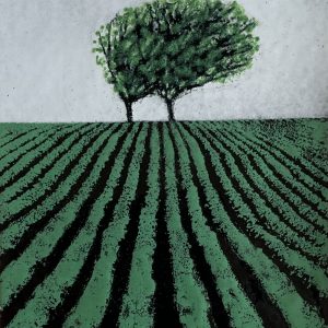 Green Furrows