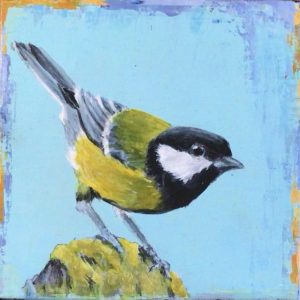 Great tit