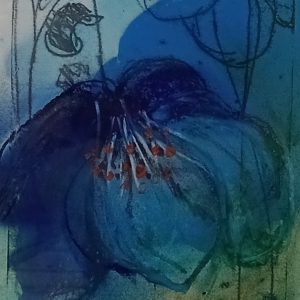 Blue Poppies I