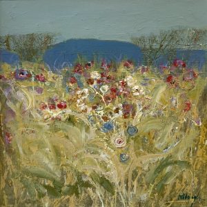 Wildflowers, Hillfoot Farm