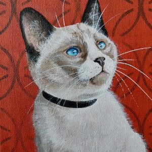 Soft Kitty