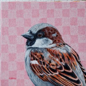 Sweet Sparrow