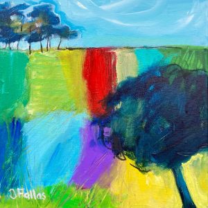 Rainbow Fields 