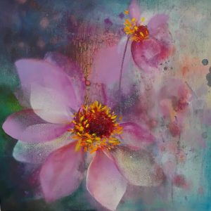 Dahlia Pink Flame
