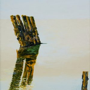 Reflections