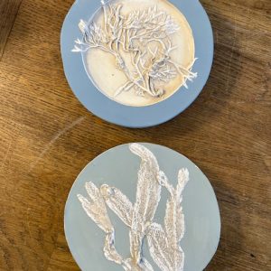 Seaweed Roundels