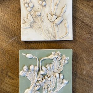 Square Seaweed Casts
