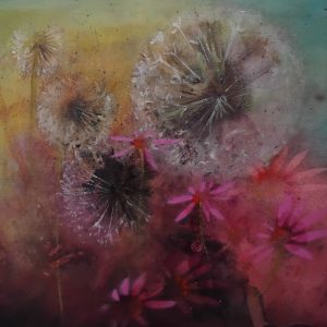 Garden of Dandelion Clocks II