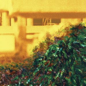 Shadows Between the Columns