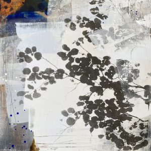 Transition to Winter 2