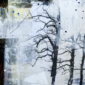 The Edge of the Forest