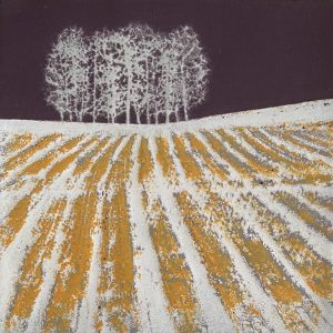 Winter Trees and Snowy Field