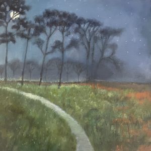 Moonlit Path