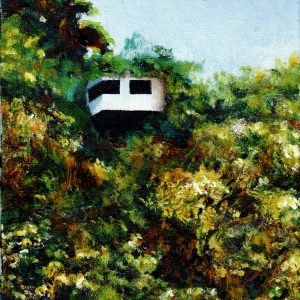 Up Amongst the Trees