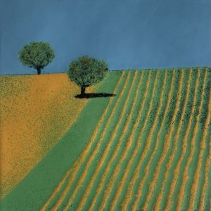 Shadow Across the Path