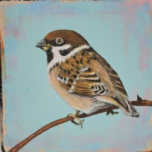 Sparrow