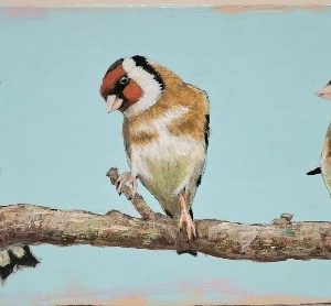 Goldfinches