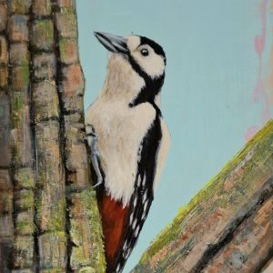 Great Spotted Woodpecker