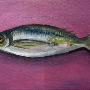 Sprat
